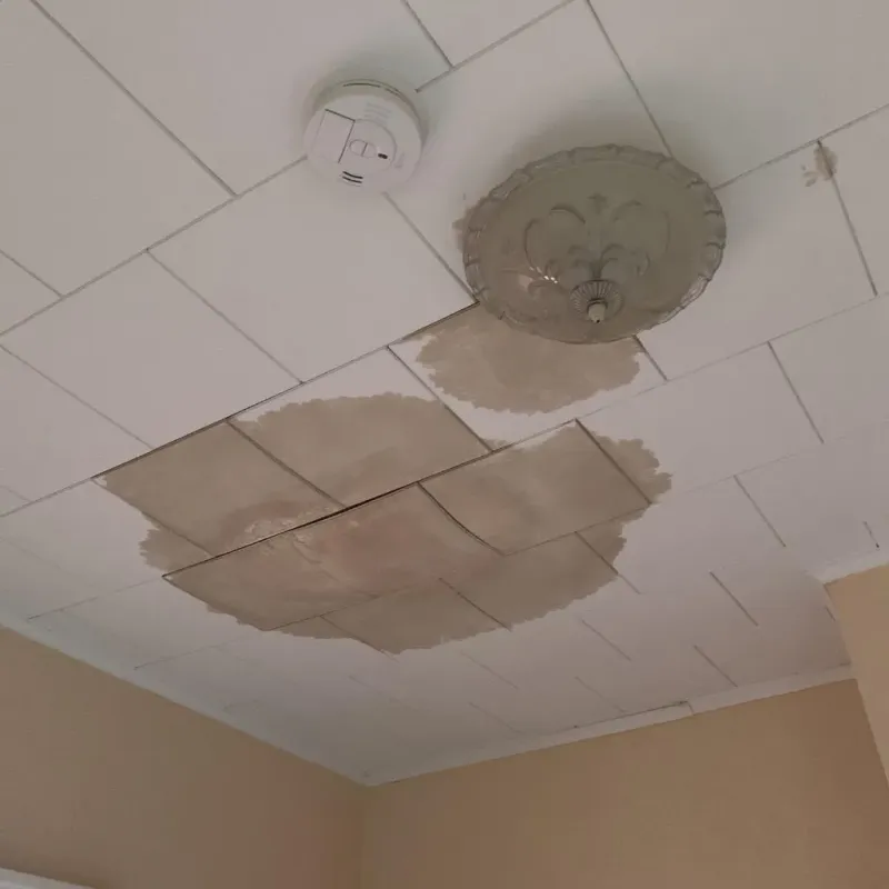 Ceiling Water Damage Repair in Milwaukee County, WI