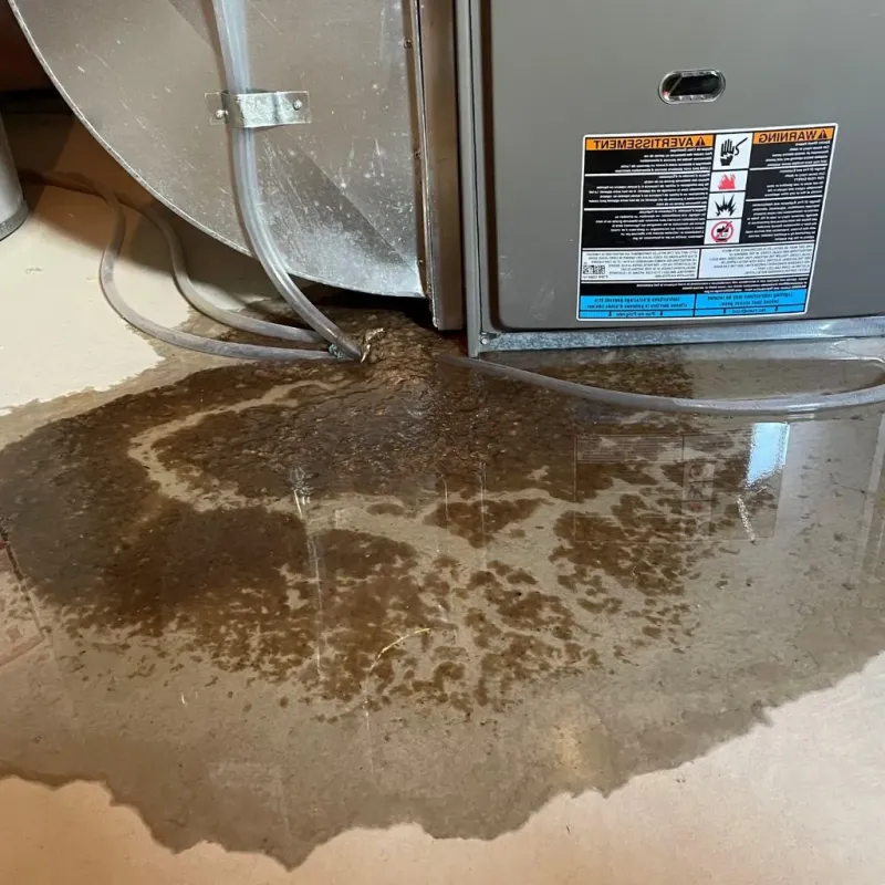 Pipe Burst and Leak Restoration in Milwaukee County, WI