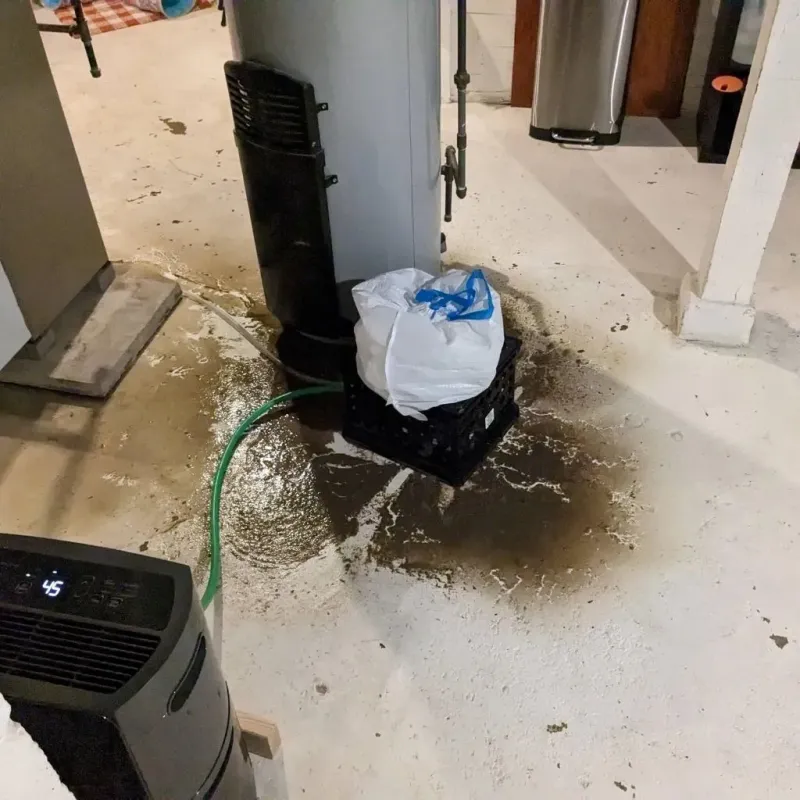 Sewage Backup Cleanup Service in Milwaukee County, WI